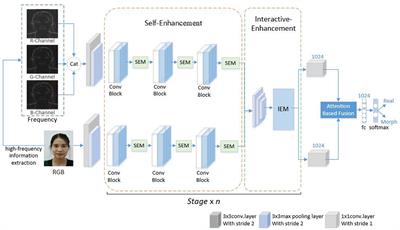 Face morphing attack detection based on high-frequency features and progressive enhancement learning